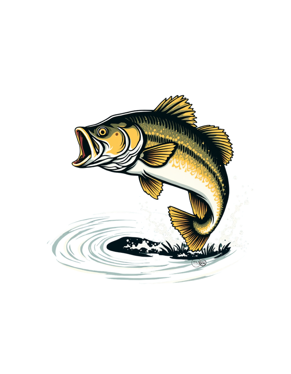 Bass front